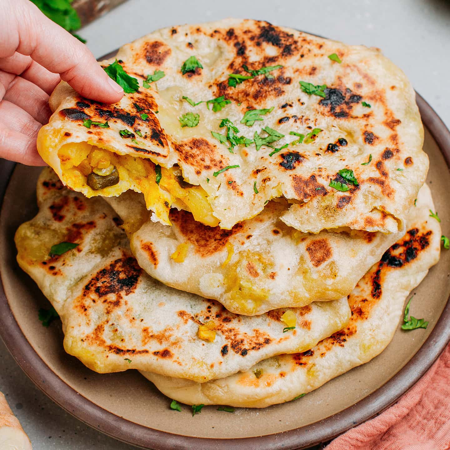 Stuffed Naan (Aloo, Onion,Paneer Mix)
